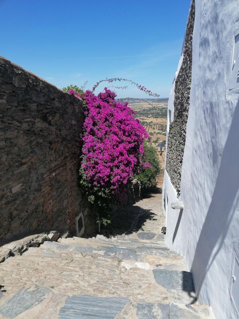 Private Full Day Tour: Sintra, Queluz, Cabo Da Roca, Cascais - Last Words