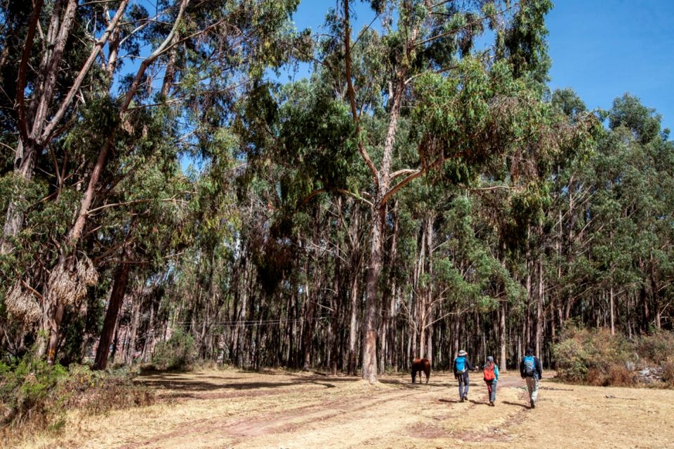 Private Tour: Full Day Balcón Del Diablo - Common questions