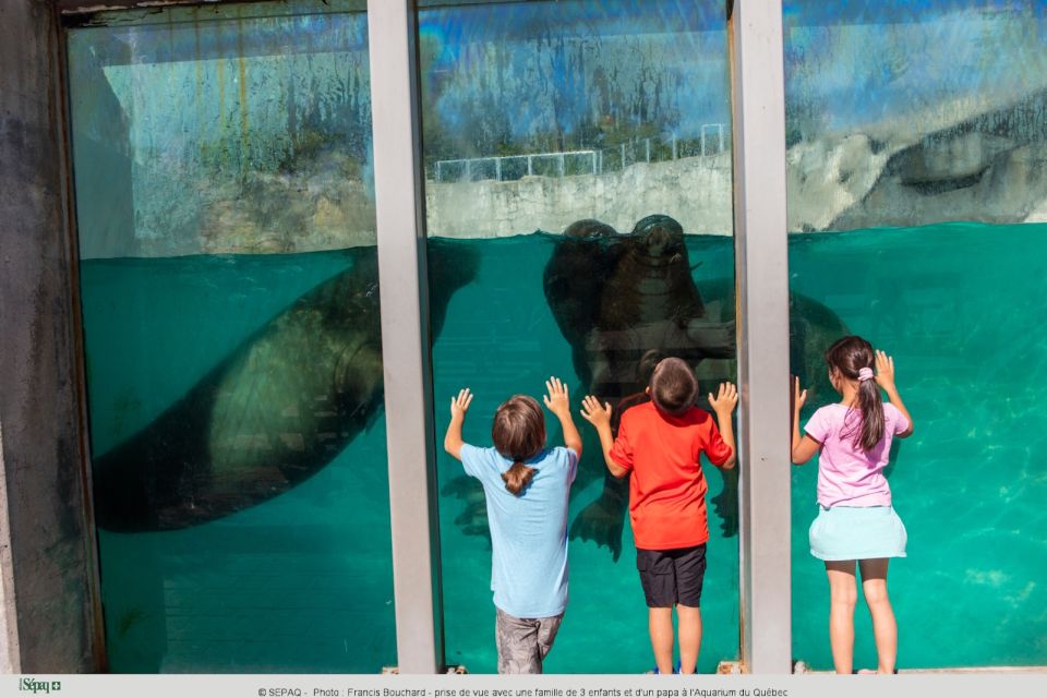 Quebec: Aquarium Du Quebec Entry Ticket - Common questions