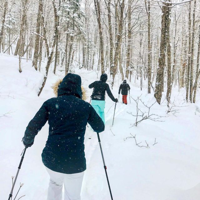 Quebec City: Jacques-Cartier National Park Snowshoeing Tour - Common questions