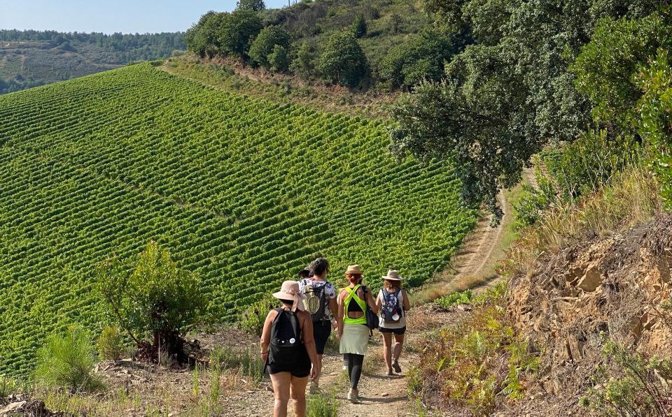Quinta Do Portal: Walking With Full Lunch and Wine Tasting - Common questions