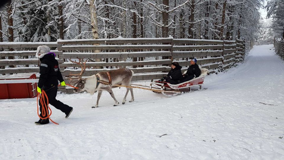 Rovaniemi: Husky Park and Reindeer Farm Combo by Minibus - Last Words