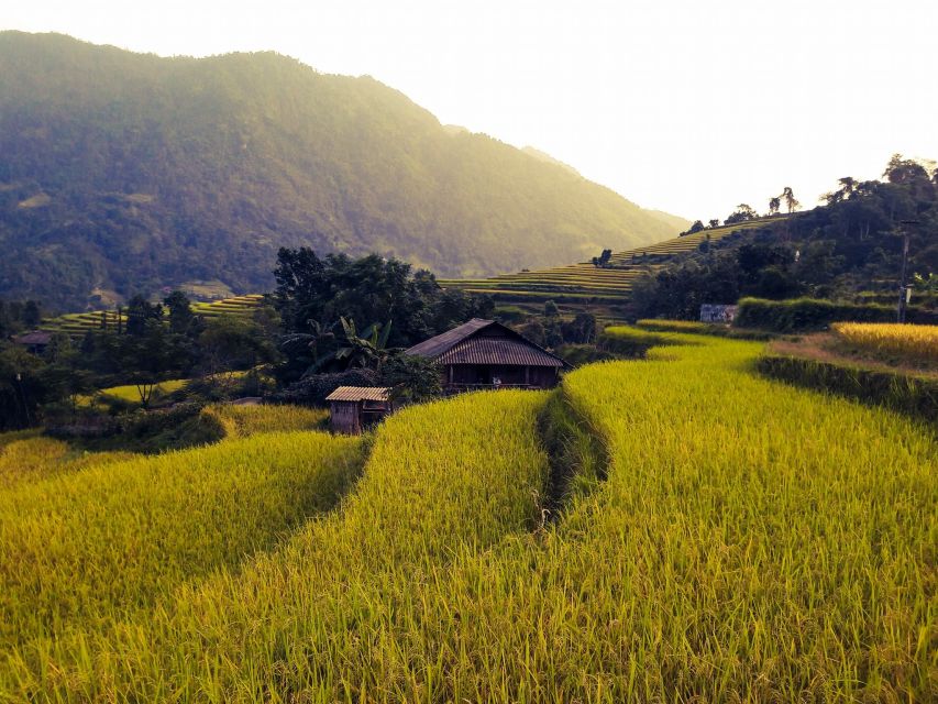 Sa Pa: Muong Hoa Valley Trek and Local Ethnic Villages Tour - Common questions