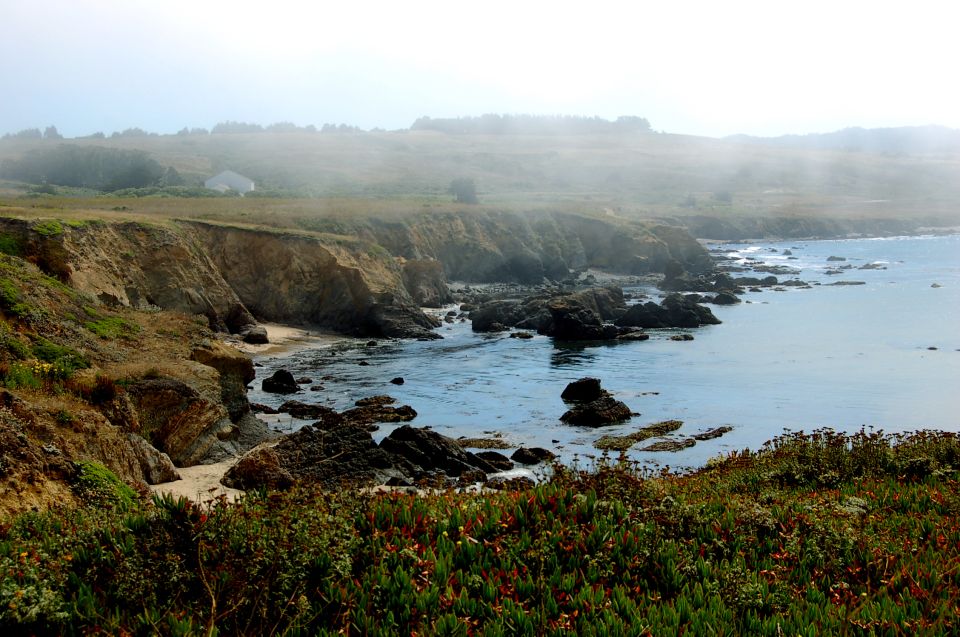 San Francisco: Monterey and Carmel Tour - Common questions