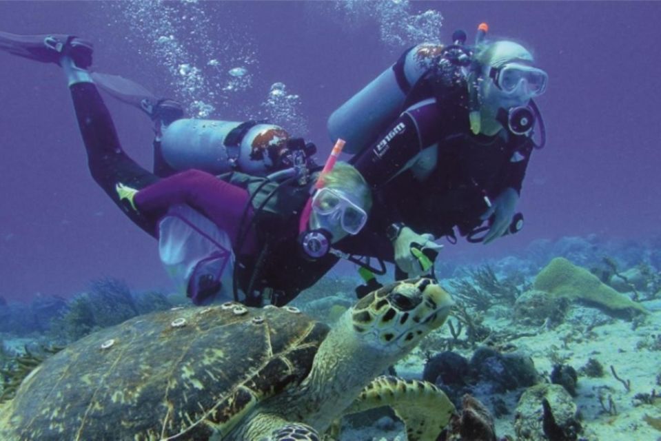 Scuba Diving: Explore the Depths of Alanya - Common questions