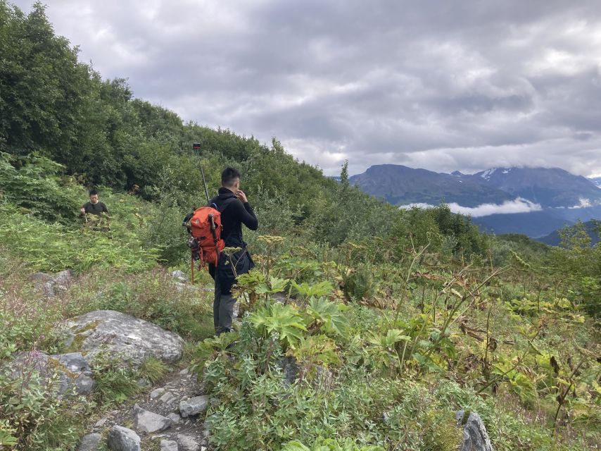 Seward: Guided Wilderness Hike With Transfer - Common questions