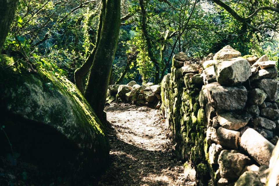 Sintra's Moorish Castle and Quinta Da Regaleira Walking Tour - Last Words