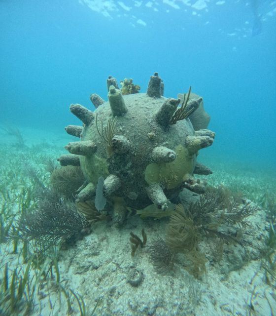 Snorkel Paradise Cancun and Underwater Museum in Nizuc - Last Words