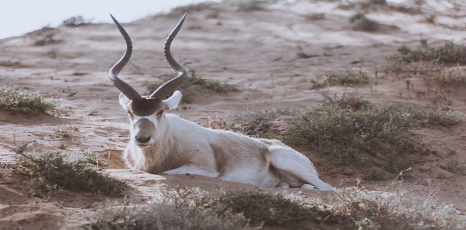 Souss-Massa National Park, Chtouka Aït Baha - Book Tickets & Tours - Last Words