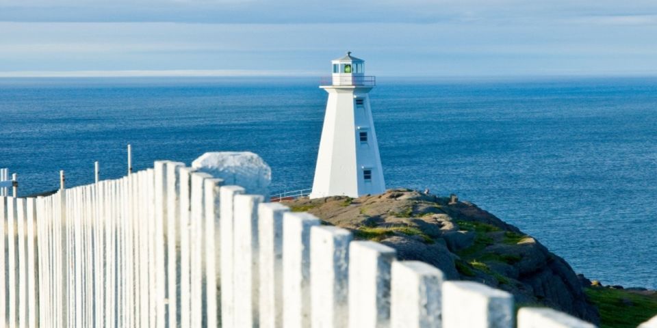 St. John'S: Small Group Tour With Iceberg Quest Boat Cruise - Last Words