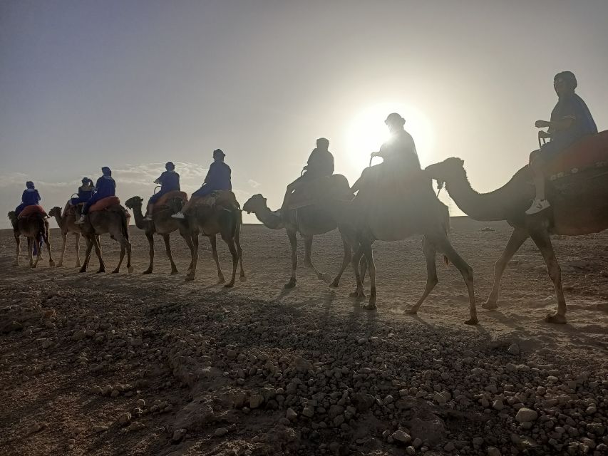 Sunset Camel Ride In Agafay Desert With Dinner - Last Words