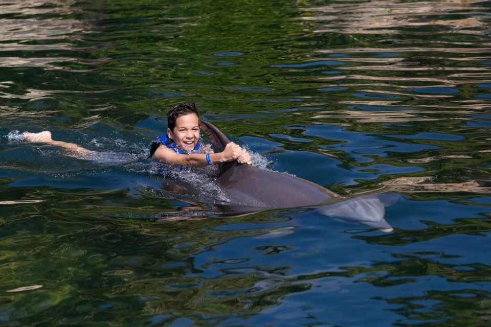 Swim With Dolphins Ride - Riviera Maya - Last Words