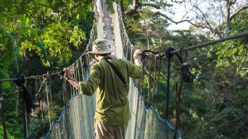 Tambopata: Zipline Adventure & Kayak to Monkey Island - Last Words