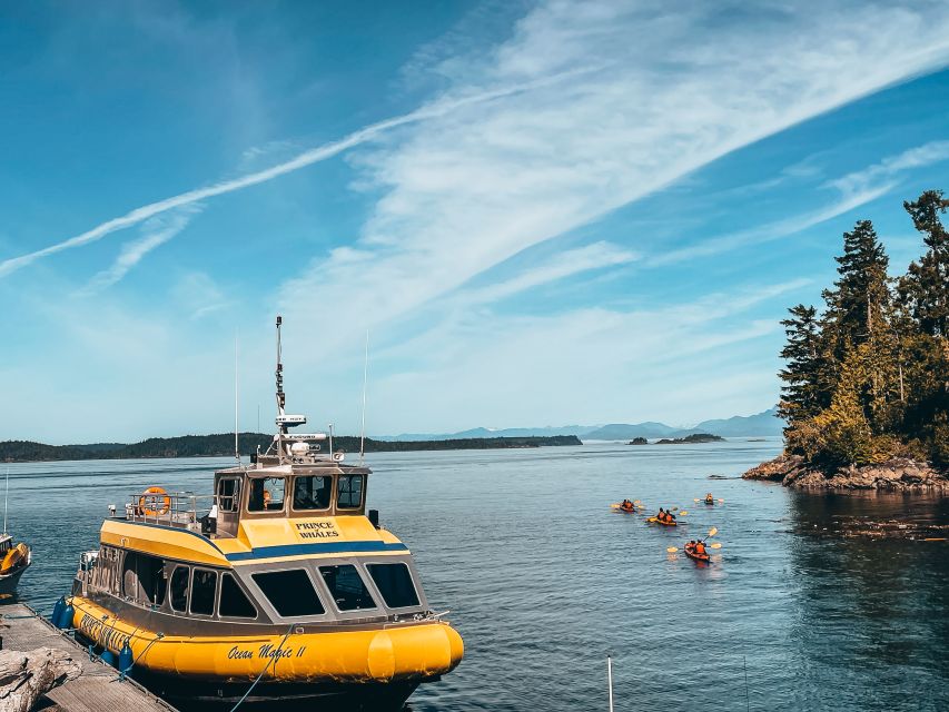 Telegraph Cove: Half-Day Whale Watching Tour - Common questions