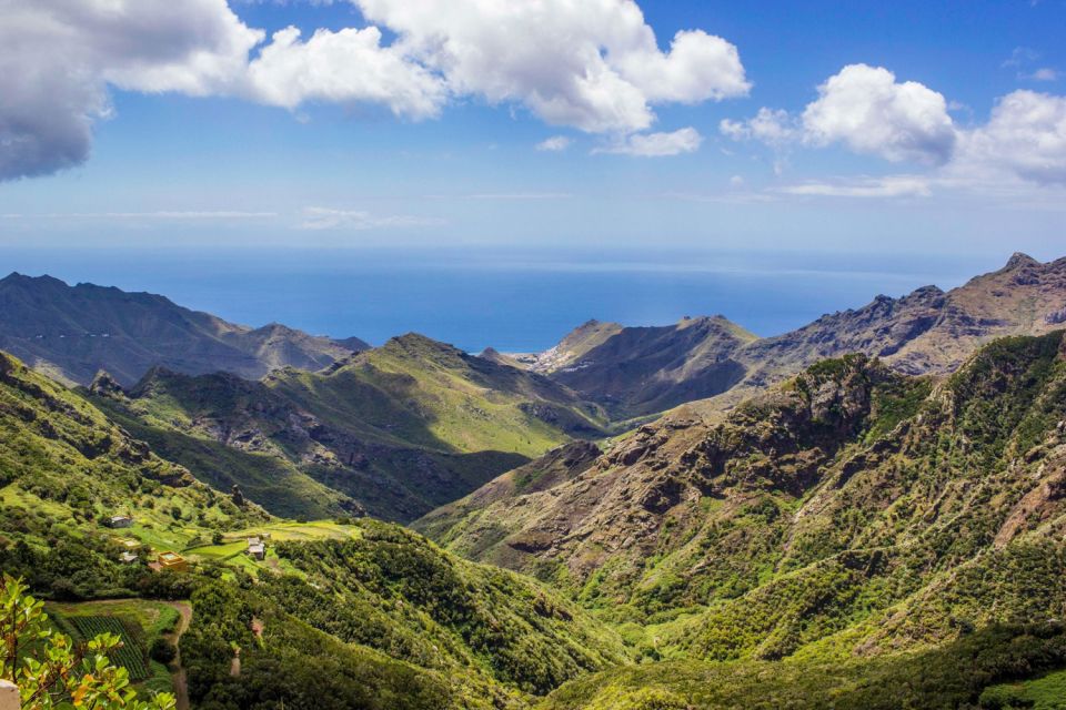 Tenerife: Anaga Rural Park Private Tour - Common questions