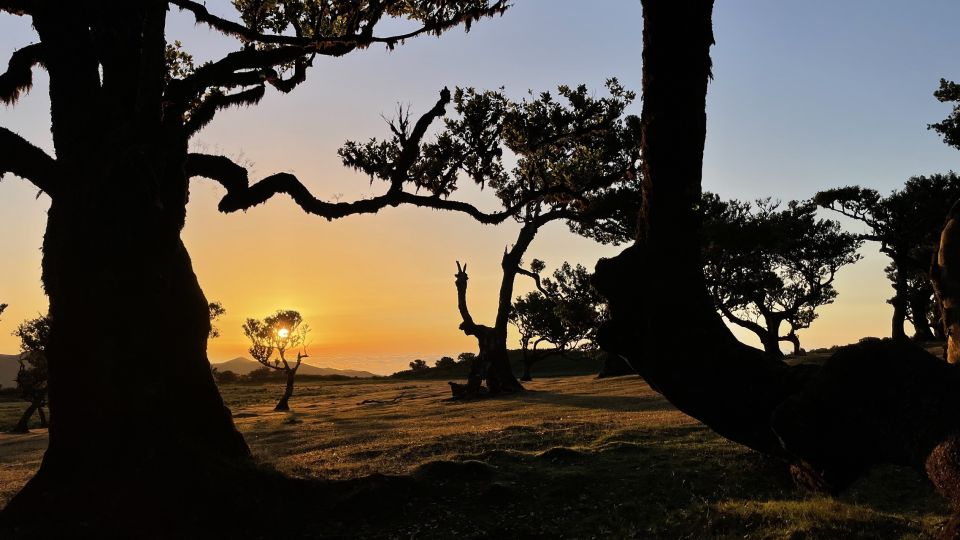 The Best of Madeira in One Day - Tailored Experience