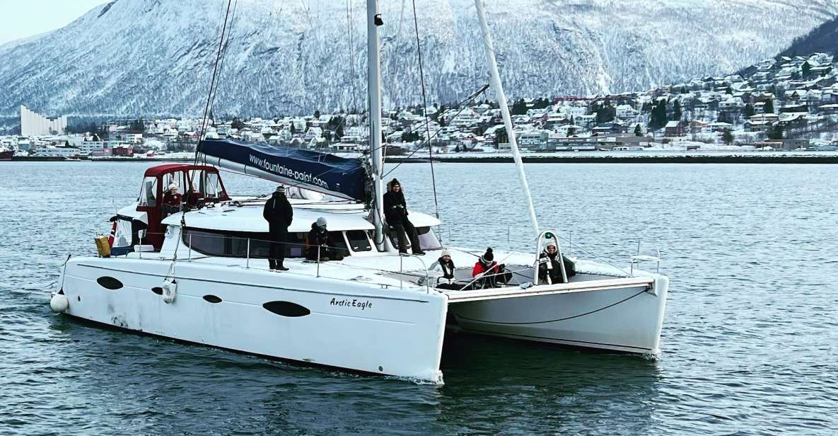 Tromsø: Arctic Fjord Sightseeing Cruise in Luxury Catamaran - Common questions