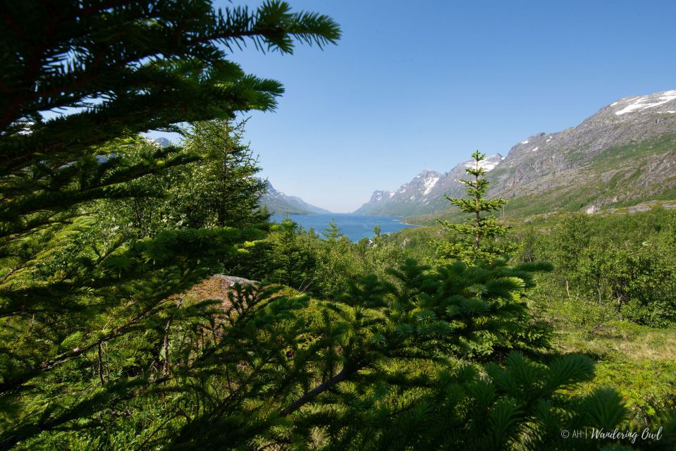 Tromsø: Arctic Landscapes Sightseeing With Citizen Science - Last Words