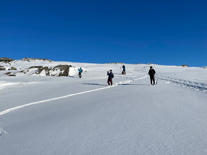 Tromso: Scenic & Eco-Friendly Snowshoeing Tour - Last Words