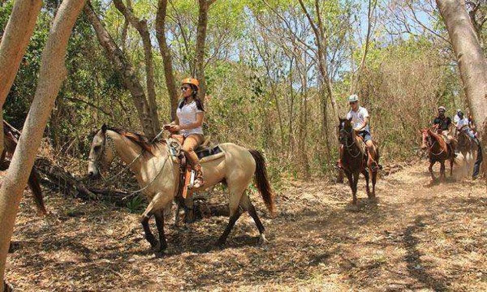 Tulum: Horseback Riding in the Jungle W/ Transfers and Lunch - Last Words