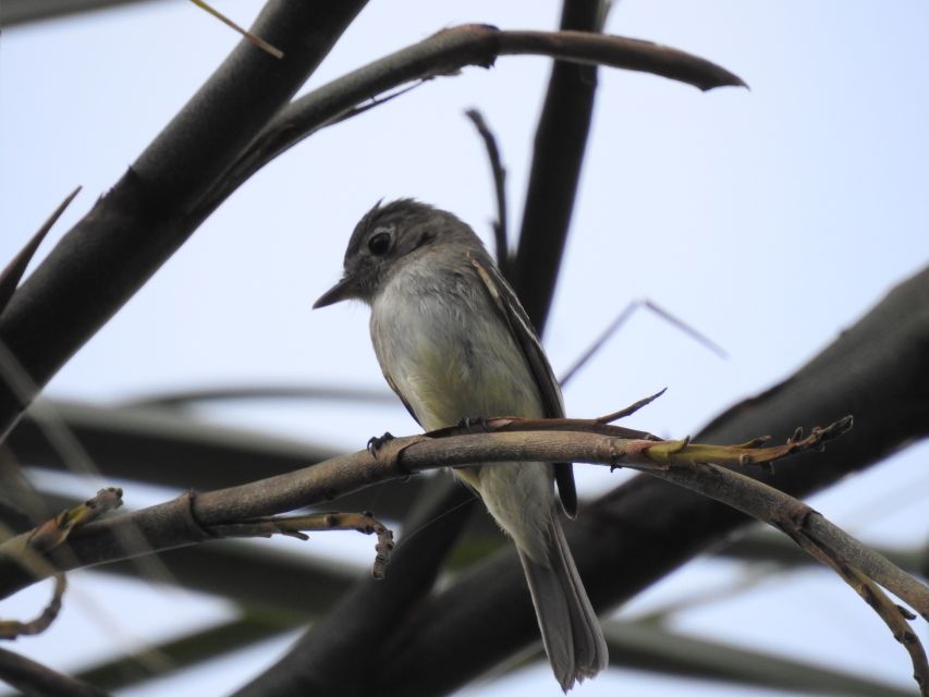 Tulum: Sian Ka'an Biosphere Reserve Guided Birdwatching Hike - Experience Highlights