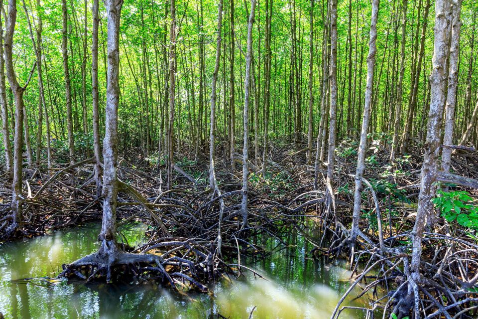 Vam Sat Mangrove Forest Private Tour From Ho Chi Minh City - Common questions
