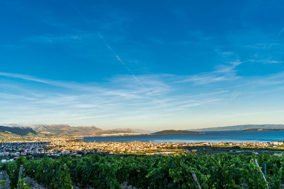 Vineyard Experience: Wine Tasting Near Split - Common questions