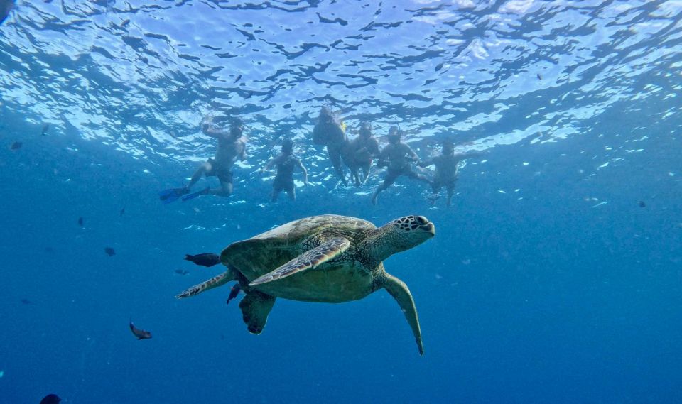 Waikiki: Ocean Rafting & Turtle Snorkel (Small-group) - Last Words