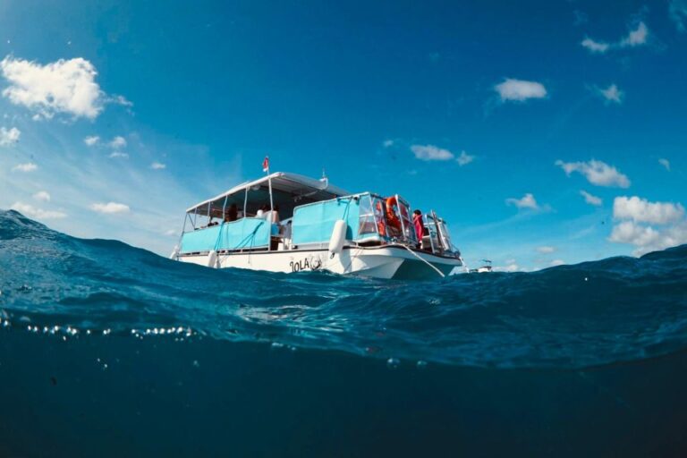 Waikiki: Snorkel Tour With Hawaiian Green Sea Turtles