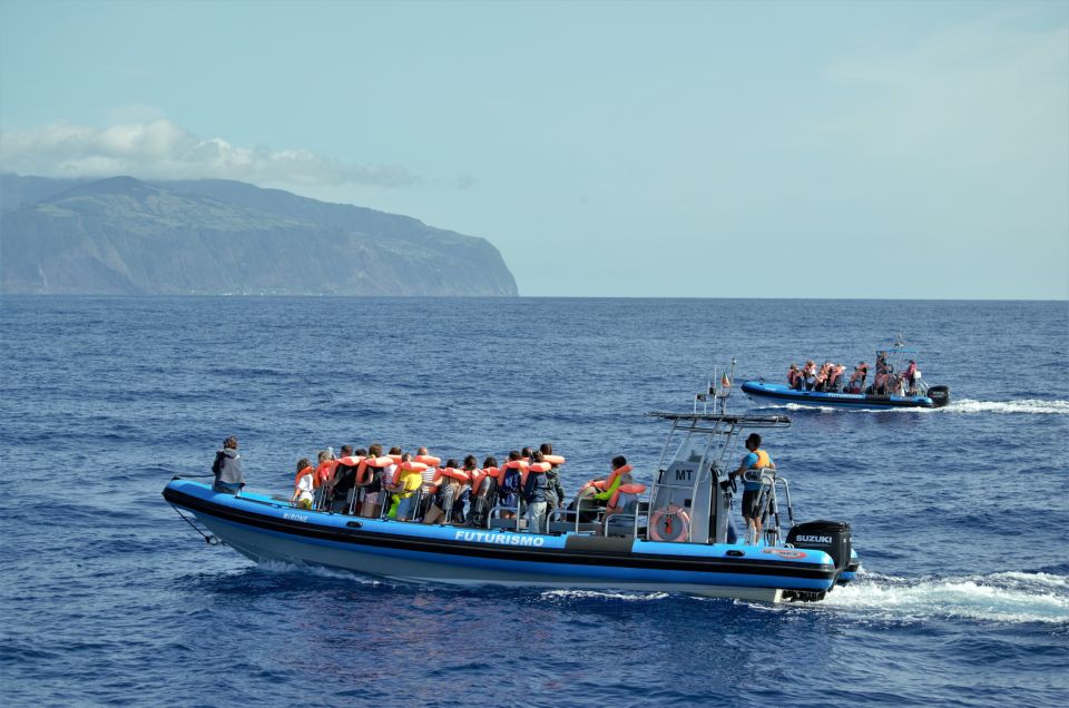 Whale and Dolphin Watching With Vila Franca Islet Visit - Last Words