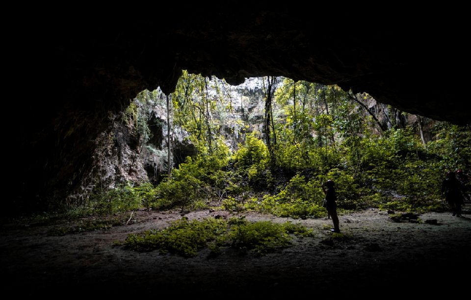 Yogyakarta: Jomblang Cave Tour - Adventure Indonesia - Common questions