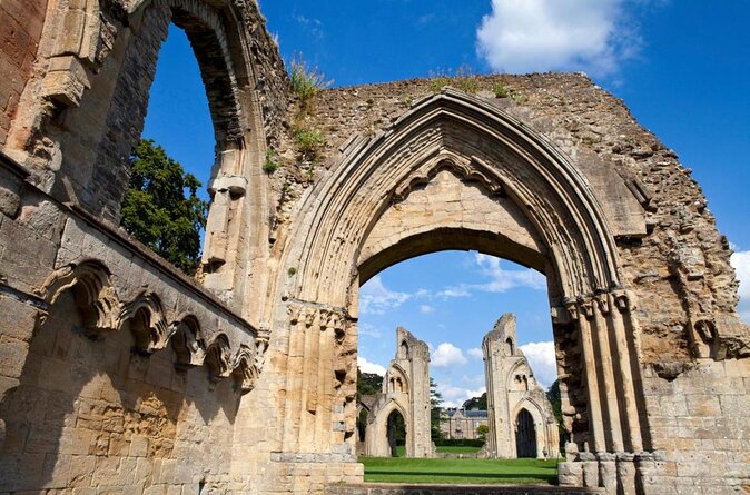 A Tour of Glastonbury, Guided by the Trees. - Key Points