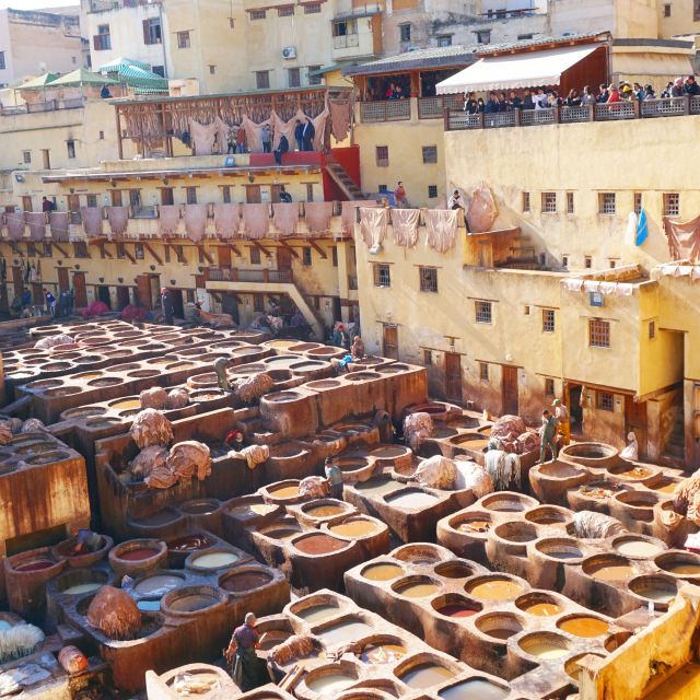 A Week Around Fez - Key Points