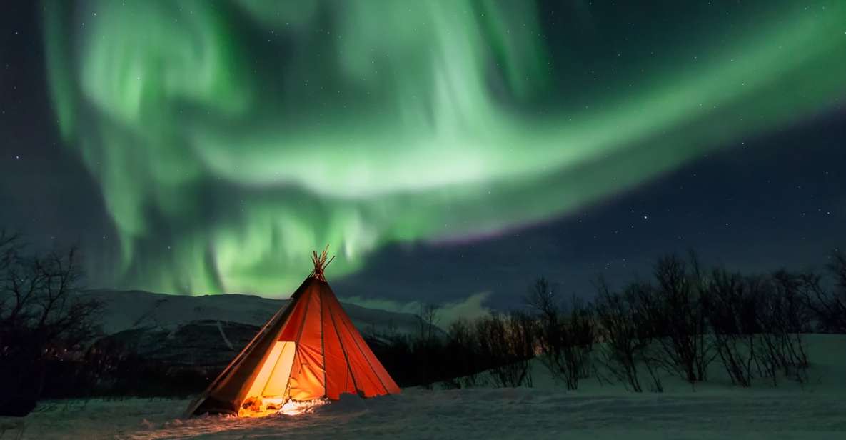 Abisko: National Park Northern Lights Photo Tour - Key Points