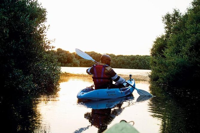 Abu Dhabi Mangrove Kayaking Tour - Key Points