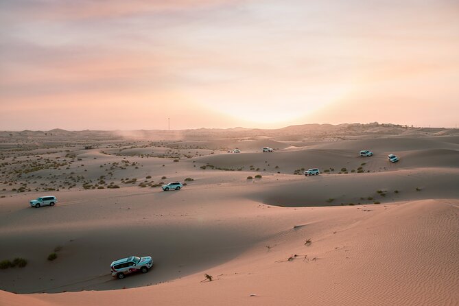 Abu Dhabi Morning Desert Safari: 4x4 Dune Bashing, Camel Ride and Sandboarding - Key Points