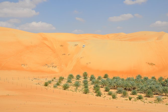 Abu Dhabi Small-Group Full-Day Desert Safari - Key Points
