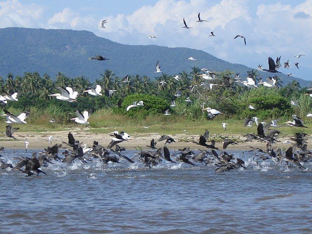 .Acapulco: 6-Hour Coyuca Lagoon Tour - Key Points