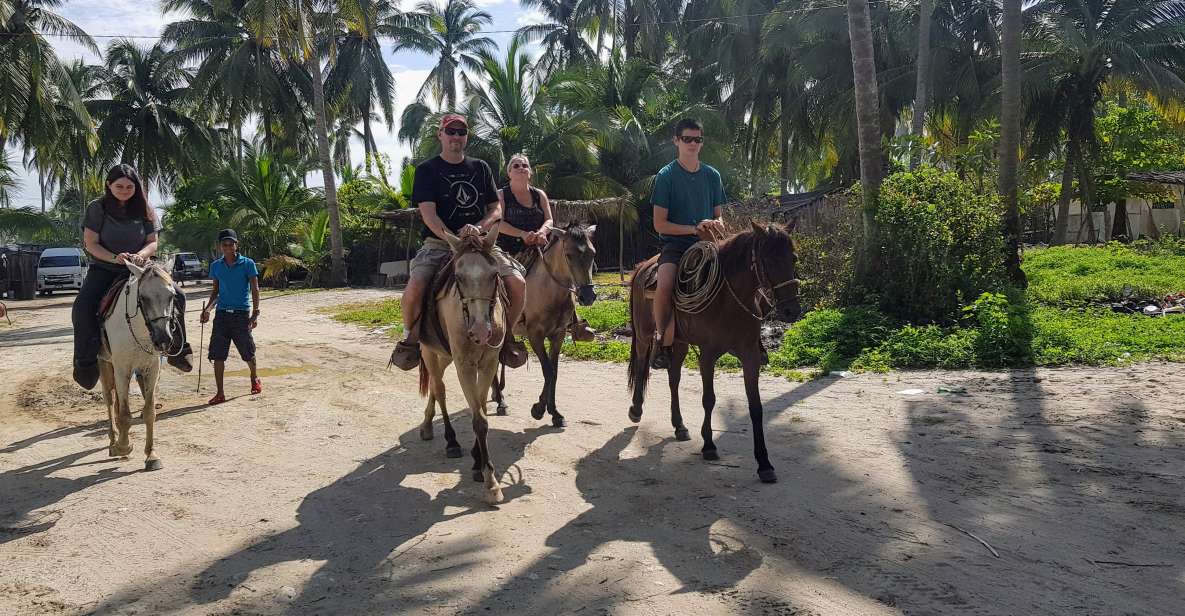Acapulco: Gentle Beach Horse Riding Tour on Barra Vieja - Key Points
