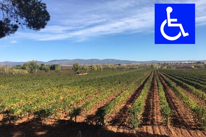 Accessible Valencia: Private, Accessible Wine Tour With Lunch - Key Points