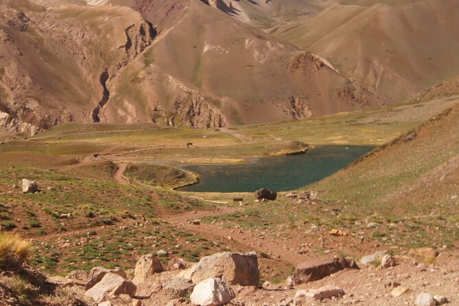 Aconcagua Short Hike, and High Mountain Tour With Barbecue. - Key Points