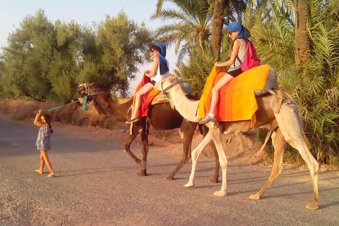 Activities in Marrakech Camel Ride Tour in Palm Grove