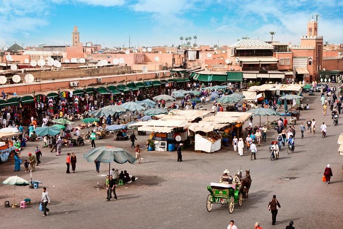 Activity: Half Day Guide Sightseeing City Tour of Marrakech - Key Points