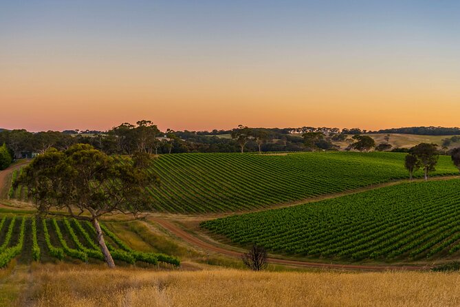 Adelaide Hills Escape: Wine, Scenery, and Charm" - Key Points