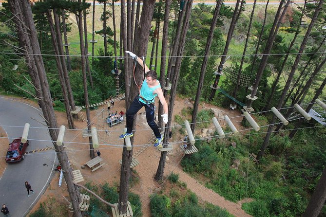 Adrenalin Forest Obstacle Course in Wellington - Key Points