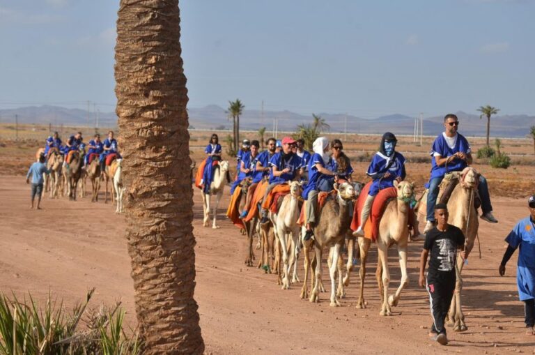 Adventure Quad Bike and Camel in Marrakech Palmeraie.