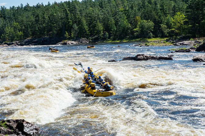 Adventure Rafting on the Ottawa River - Key Points