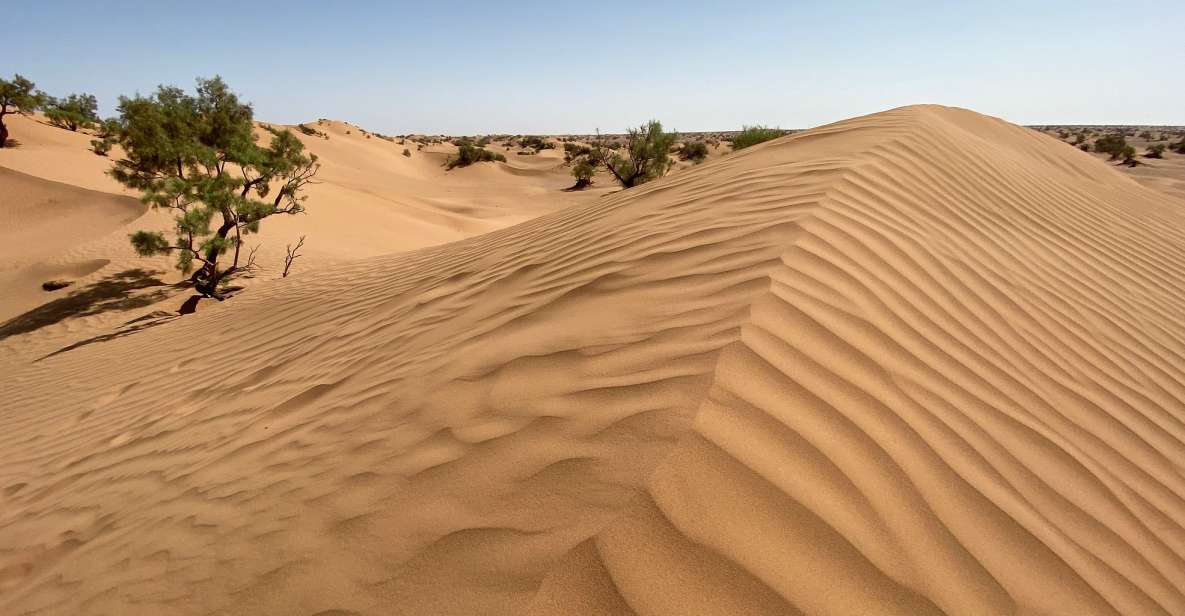 Agadir: 44 Jeep Desert Safari With Lunch Tajin & Couscous - Key Points