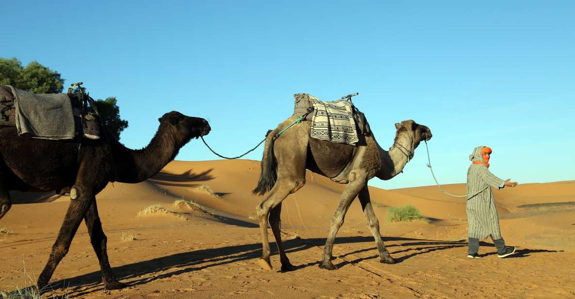 Agadir: 44 Jeep Desert Safari With Lunch Tajin & Couscous - Key Points