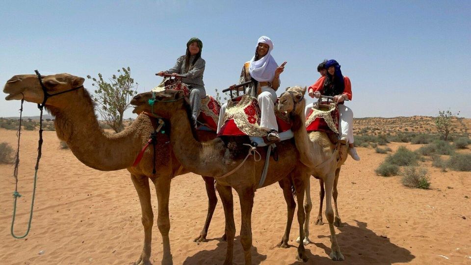 Agadir: Camel Ride Adventure With Flamingo River & Mint Tea - Key Points